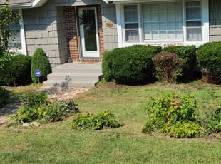 Bush Trimming by Nate Lawrence for Charlotte P. in Kansas City, MO