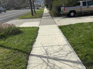 Luis S.'s Grass Cutting service result
