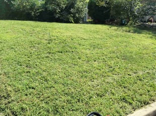Dennis O.'s Lawn Mowing Service service result