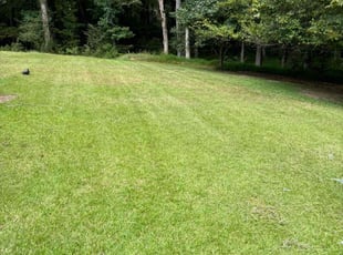 Aaron S.'s Lawn Care service result