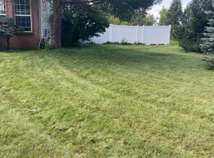 Faisal M.'s Yard Cutting service result