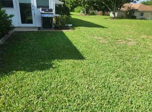 David A.'s Lawn Service service result