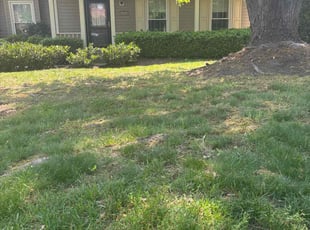 Cleanups by candelario castillo for Slone M. in Alexandria, VA