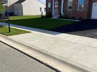 Carmen K.'s Lawn Care service result