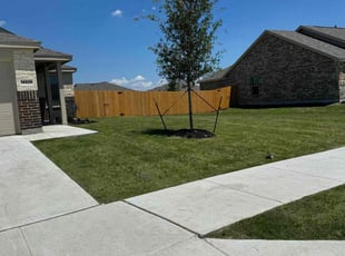 Sean L.'s Lawn Mowing Service service result