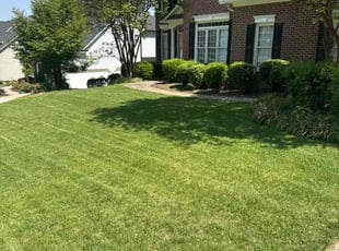 Rachel P.'s Lawn Care service result