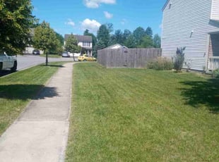 Emily W.'s Yard Cutting service result