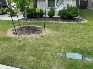 Weeding by Quentin Morgan for Ann M. in Celina, TX