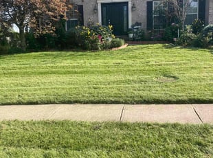 Betty O.'s Yard Cutting service result