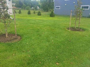 Mohammed Q.'s Lawn Service service result