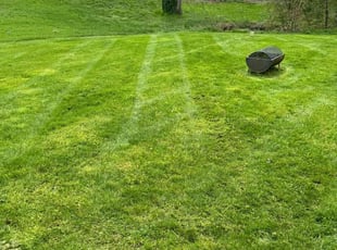 Evan H.'s Lawn Service service result