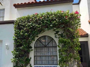 Bush Trimming by Roberto Hernandez for Diana J. in Wellington, FL