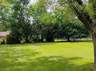 Anuj U.'s Lawn Mowing service result