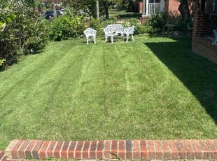Josephine H.'s Lawn Mowing service result