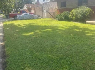 Gloria D.'s Grass Cutting service result