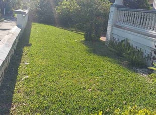 Connie L.'s Lawn Care service result