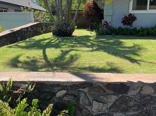 Sandy P.'s Lawn Mowing Service service result