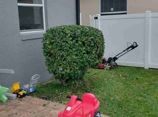 Bush Trimming by Robert Coleman for Jack F. in Orlando, FL