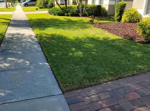 Andrew R.'s Grass Cutting service result