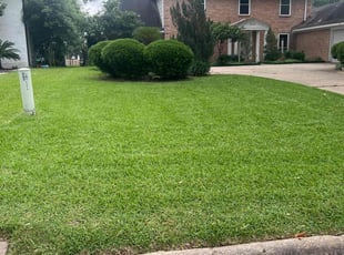 Jeff M.'s Lawn Mowing Service service result