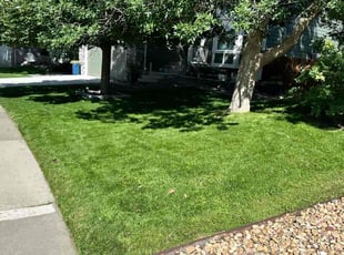 Pam F.'s Lawn Care service result
