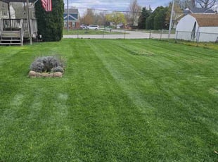 kelly g.'s Yard Cutting service result