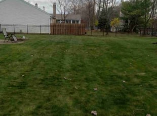 Leaf Removal by Tefel Rivera for Bob d. in Cleveland, OH