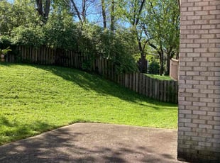 Bradley B.'s Lawn Care service result