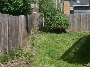 Bush Trimming by Riki Howry for Phil A. in Vancouver, WA