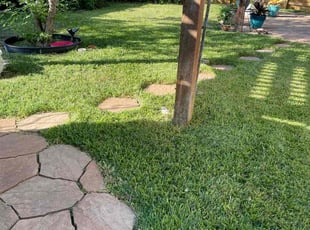 Zachary M.'s Lawn Mowing service result