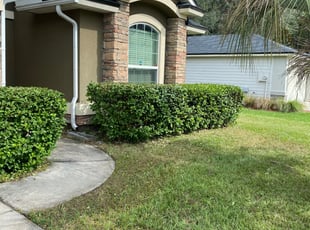 Bush Trimming by Tyler orlowski for Traci P. in Jacksonville, FL
