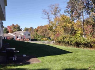 Ken S.'s Lawn Mowing service result