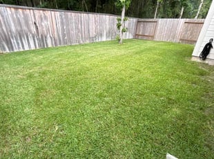 Kristin F.'s Lawn Service service result