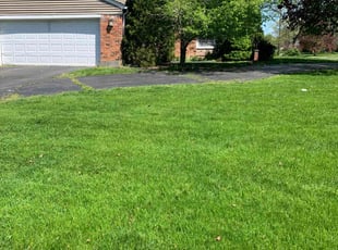 Norraine L.'s Lawn Maintenance service result