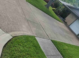 Richard B.'s Yard Cutting service result