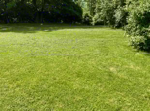 Derrell H.'s Lawn Maintenance service result