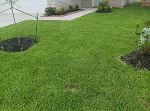 Xavier J.'s Grass Cutting service result