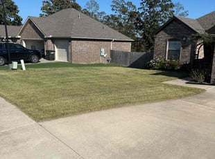 Beata L.'s Lawn Care service result