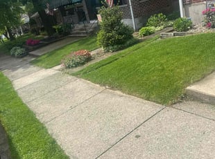 Michael B.'s Grass Cutting service result