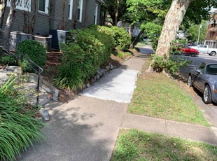 Bush Trimming by Clinton Peet for Chad D. in Norfolk, VA
