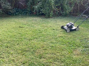 Sashana C.'s Lawn Mowing service result