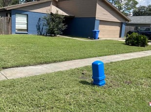Mary Q.'s Lawn Care service result