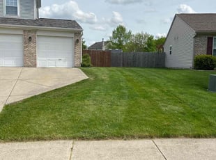 Eric W.'s Lawn Mowing service result