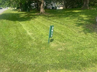 Evelyn K.'s Lawn Mowing service result