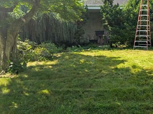 Bush Trimming by Genny Machado for David G. in Port Washington, NY