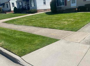 Christina W.'s Lawn Care service result