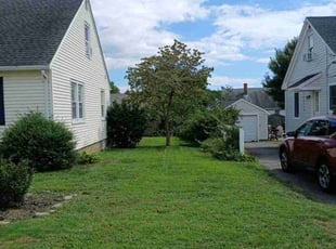 Rene H.'s Lawn Service service result