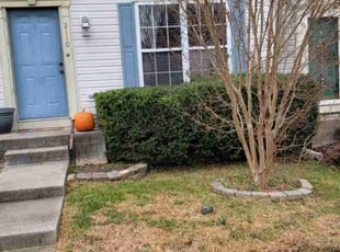 Bush Trimming by Matt Miller for Caitlin H. in Abingdon, MD