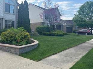 Sarah D.'s Lawn Mowing service result