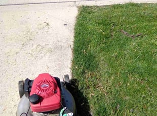 Darlene S.'s Lawn Mowing service result